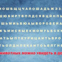 Найдите названия животных, живущих в деревне. Тест на внимательность