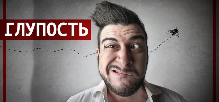 Если вы чувствуете себя тупым, то прочтите это (как быть, если ты тупой)