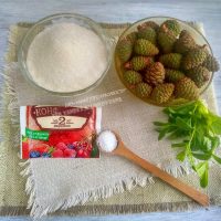 Варенье из сосновых шишек: богатый вкус, в холода спасаемся от простуд. Показываю любимый рецепт (шишки съедобные)