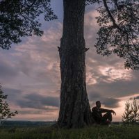 Развитие осознанности: где эффективнее — в лесу или городе?